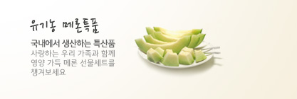 유기농메론특품